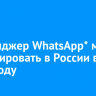 Мессенджер WhatsApp* могут заблокировать в России в 2025 году