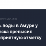 Уровень воды в Амуре у Хабаровска превысил неблагоприятную отметку