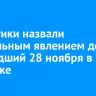 Синоптики назвали аномальным явлением дождь, прошедший 28 ноября в Иркутске