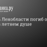 Житель Ленобласти погиб от удара током в летнем душе