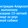 Администрация Аларского района выплатила компенсацию 15-летней школьнице за укус бездомной собаки