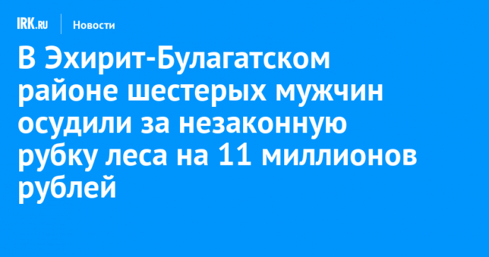 В Эхирит-Булагатском районе шестерых мужчин осудили за незаконную рубку леса на 11 миллионов рублей