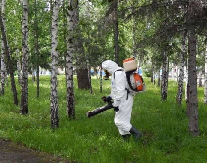 Кладбища временно закроют из-за буйных кровососов в Костроме