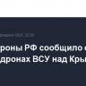 Минобороны РФ сообщило о 12 сбитых дронах ВСУ над Крымом