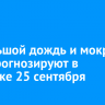 Небольшой дождь и мокрый снег прогнозируют в Иркутске 25 сентября