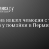 Мужчина нашел чемодан с телом ребенка у помойки в Перми