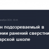 Задержан подозреваемый в причинении ранений сверстникам в краснодарской школе