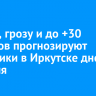 Дождь, грозу и до +30 градусов прогнозируют синоптики в Иркутске днем 31 июля