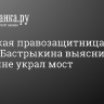 Рязанская правозащитница просит Бастрыкина выяснить, кто в Скопине украл мост