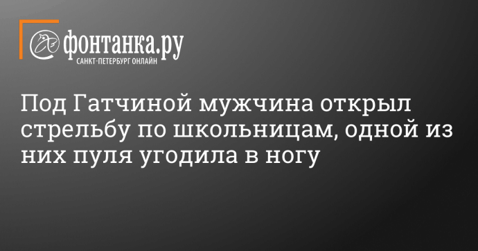 Под Гатчиной мужчина открыл стрельбу по школьницам, одной из них пуля угодила в ногу