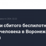 Обломки сбитого беспилотника ранили человека в Воронежской области