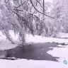 В Новгородской области ночь на 5 февраля может стать самой холодной на неделе