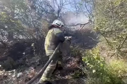 В Краснодарском крае огонь перекинулся на три базы отдыха во время лесного пожара