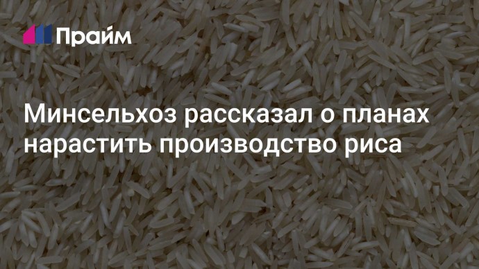 Минсельхоз рассказал о планах нарастить производство риса