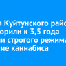 Жителя Куйтунского района приговорили к 3,5 года колонии строгого режима за хранение каннабиса