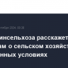 Глава Минсельхоза расскажет сенаторам о сельском хозяйстве в современных условиях