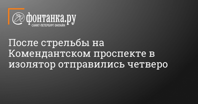 После стрельбы на Комендантском проспекте в изолятор отправились четверо