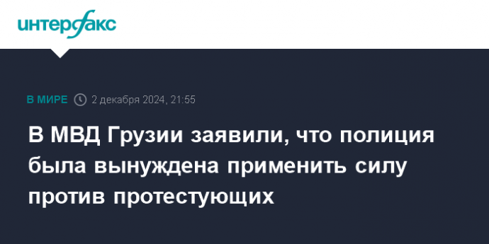 В МВД Грузии заявили, что полиция была вынуждена применить силу против протестующих