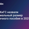 В РАНХиГС назвали максимальный размер больничного пособия в 2025 году