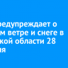 МЧС предупреждает о сильном ветре и снеге в Иркутской области 28 февраля