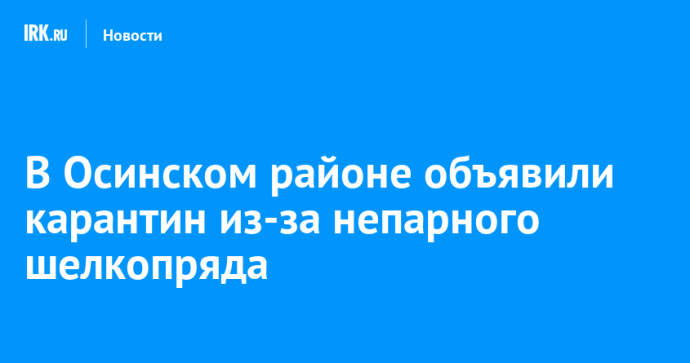 В Осинском районе объявили карантин из-за непарного шелкопряда