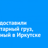 В ДНР доставили гуманитарный груз, собранный в Иркутске