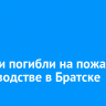 Супруги погибли на пожаре в садоводстве в Братске