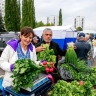 В Уфе пройдут медовая и сельскохозяйственная ярмарки