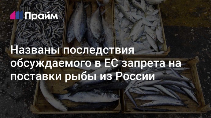 Названы последствия обсуждаемого в ЕС запрета на поставки рыбы из России