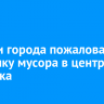 Жители города пожаловались на свалку мусора в центре Иркутска