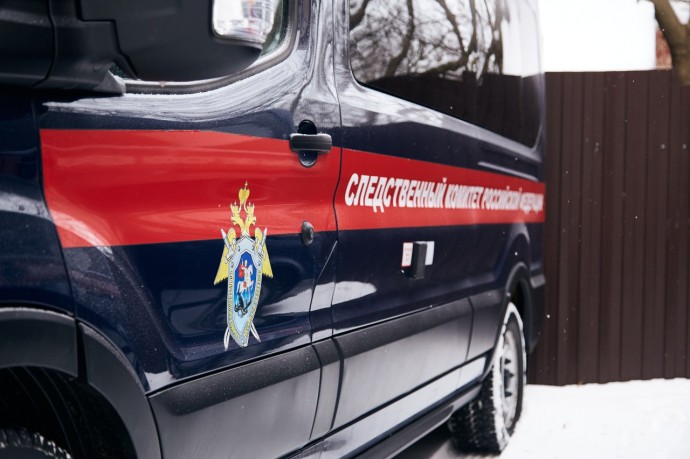 За новогодние праздники возбуждено 9 уголовных дел в Тульской области