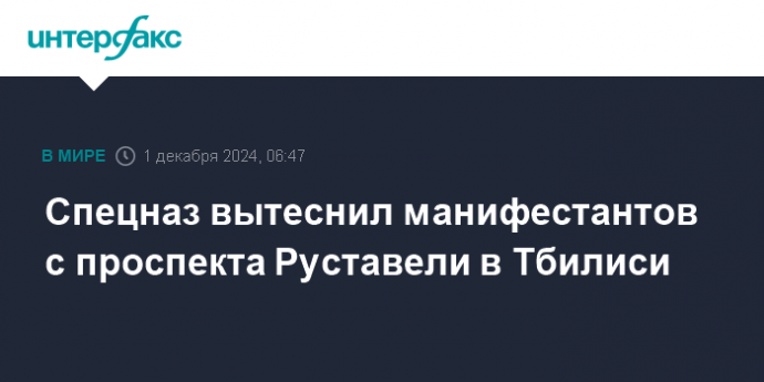 Спецназ вытеснил манифестантов с проспекта Руставели в Тбилиси