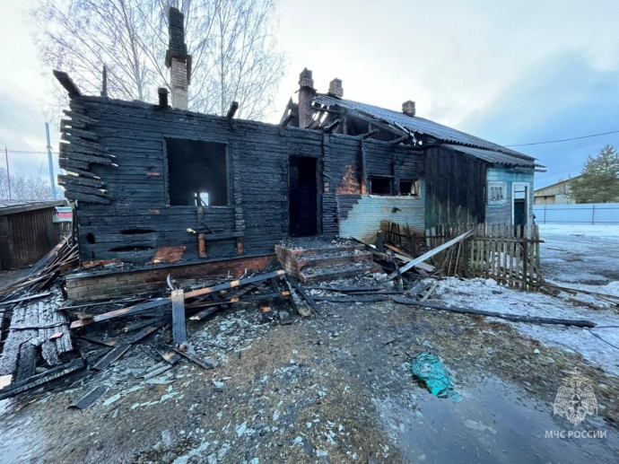 В Боровичском районе вспыхнувшее на кухне масло вызвало пожар. Погибла женщина