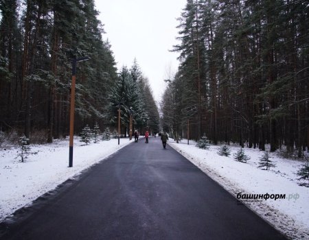 С 1 апреля в парке имени Лесоводов Башкирии откроются кухни народов мира