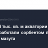 Более 24 тыс. кв. м акватории Черного моря обработали сорбентом после разлива мазута