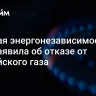 Мнимая энергонезависимость. ФРГ заявила об отказе от российского газа