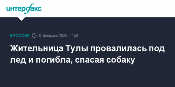 Жительница Тулы провалилась под лед и погибла, спасая собаку