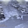 Появилось видео избиения подростка водителем автобуса в Приморье