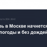 Сентябрь в Москве начнется с теплой погоды и без дождей