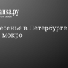 В воскресенье в Петербурге будет тепло и мокро