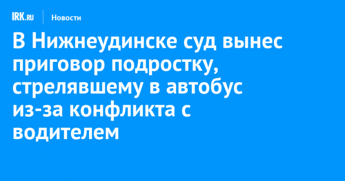 В Нижнеудинске суд вынес приговор подростку, стрелявшему в автобус из-за конфликта с водителем