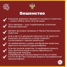 В Ярославской области в этом году бешенство выявили у восьми животных