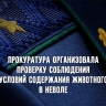 Прокуратура организовала проверку соблюдения условий содержания дикого животного в неволе