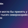 Россия могла бы принять у себя до 100 тысяч северокорейских рабочих