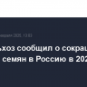 Минсельхоз сообщил о сокращении импорта семян в Россию в 2024 году в 2,5 раза