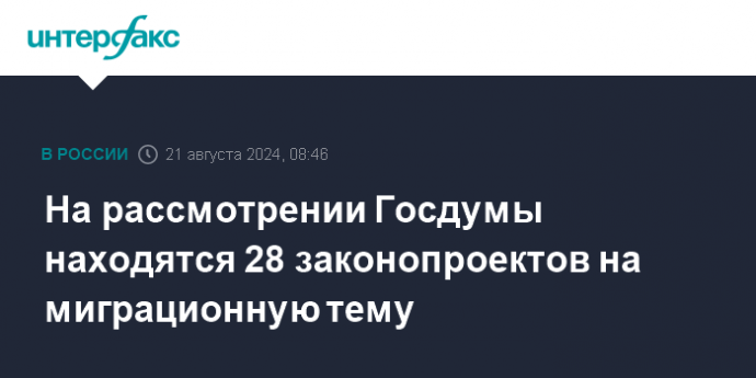 На рассмотрении Госдумы находятся 28 законопроектов на миграционную тему