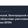 Над Брянской, Белгородской и Курской областями уничтожено 26 украинских БПЛА