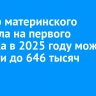 Размер материнского капитала на первого ребенка в 2025 году может вырасти до 646 тысяч рублей