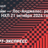 «Лос-Анджелес» на выезде обыграл «Анахайм», у Гаврикова результативная передача