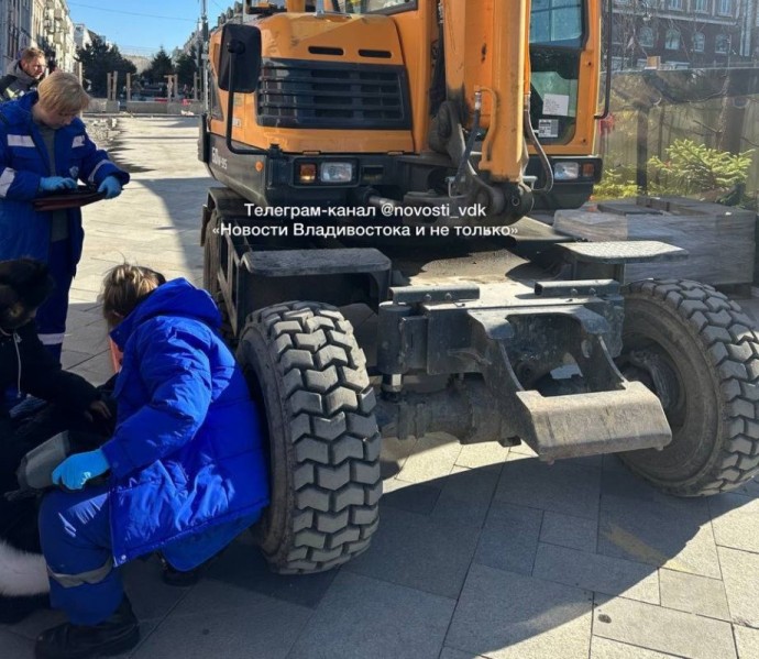 Во Владивостоке эскваватор переехал ноги ребенку